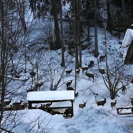 Vilstalsaege Pfronten